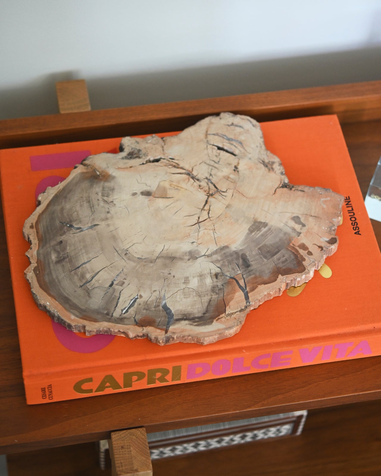 Natural Petrified Wood Slab - 3.7lbs Polished Fossilized Wood for Home Decor, Meditation Space & Unique Gift Idea | Perfect for Coffee Tables, Bookshelves & Office Desks