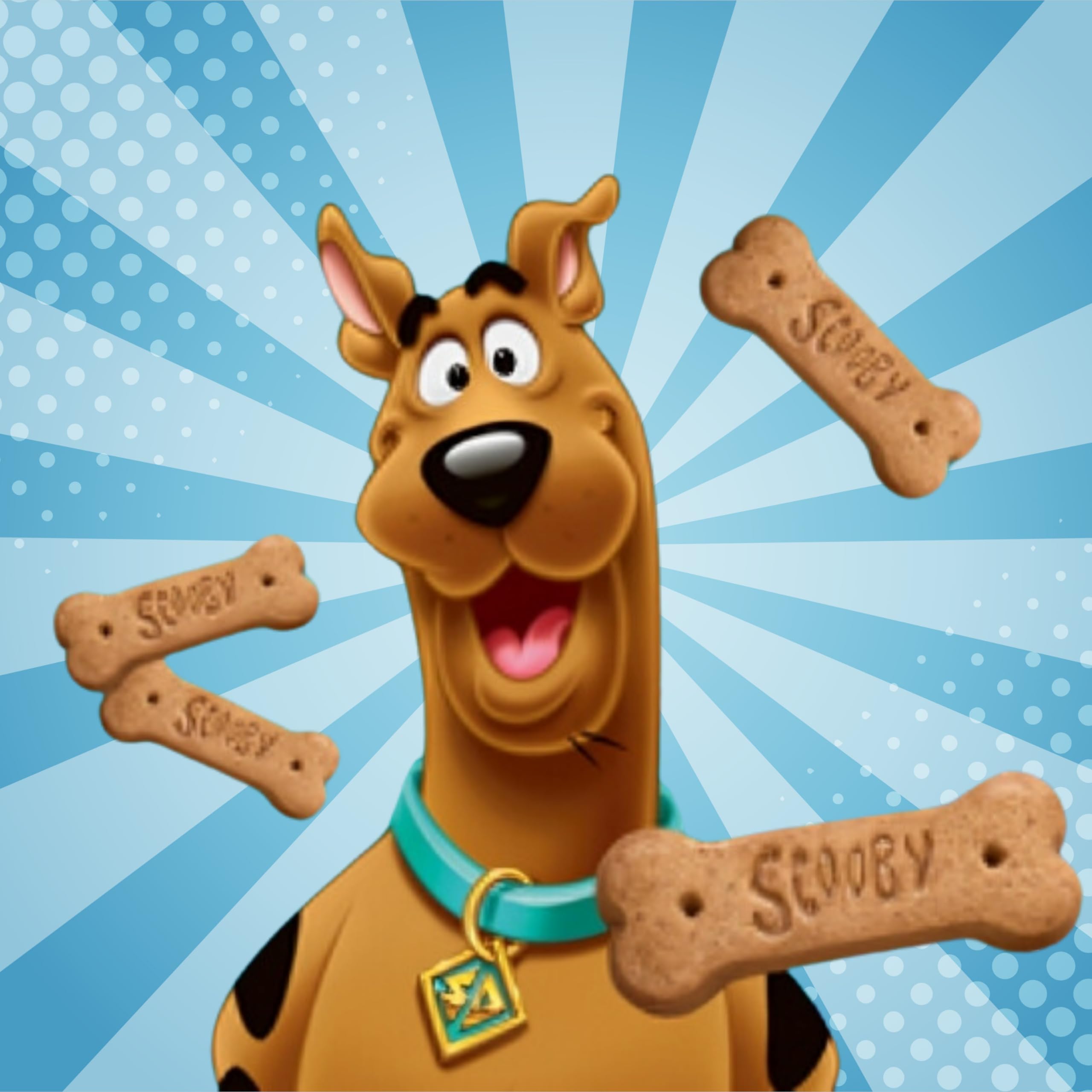 Scooby-Doo Graham Cracker Snacks - Cinnamon & Chocolate Flavored Cookies (1 oz, 18-Pack) | Bulk Baked Treats for Kids Lunch, After School Snacks, Birthday Parties & Movie Nights | Includes Convenient Bag Clip