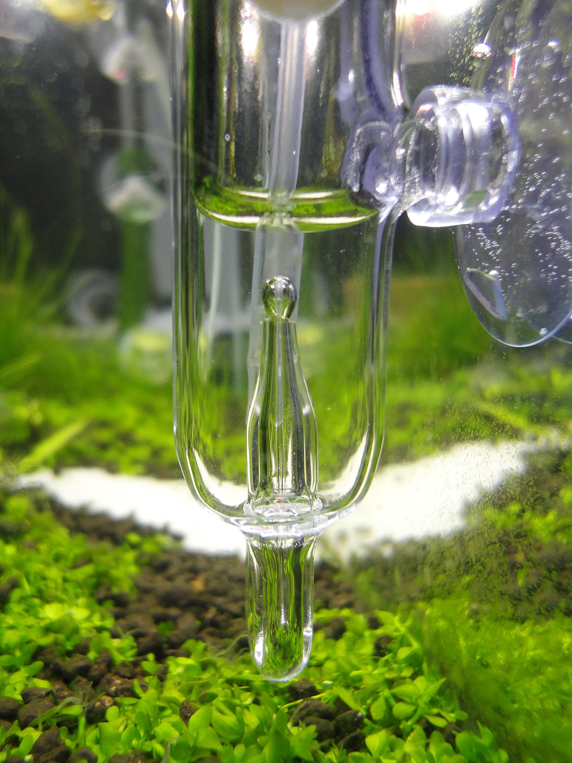 Premium Pollen Glass CO2 Diffuser with Bubble Counter - High Efficiency Aquarium Plant CO2 System for Planted Tanks & Hydroponics | Perfect for Freshwater Fish Tanks, Aquatic Gardens & Indoor Plant Growth
