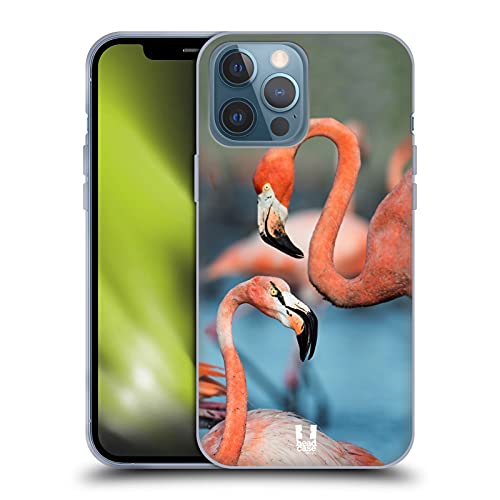 Two Great Flamingos