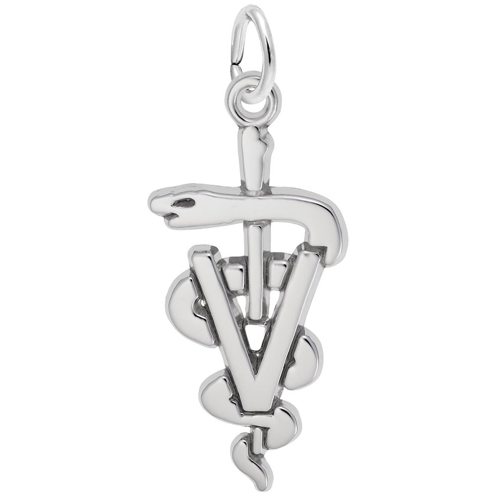 Veterinary Charm Pendant - Sterling Silver Animal Lover Jewelry for Bracelets & Necklaces | Perfect Gift for Vet Techs, Pet Owners & Animal Enthusiasts