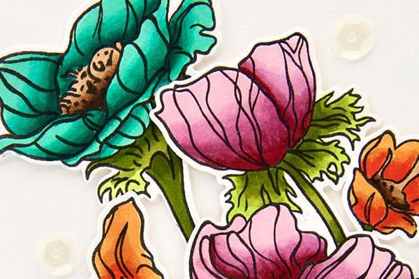 Alcohol Markers for Cardmaking - Online Crafting 101 Class | DIY Greeting Cards & Scrapbooking Supplies