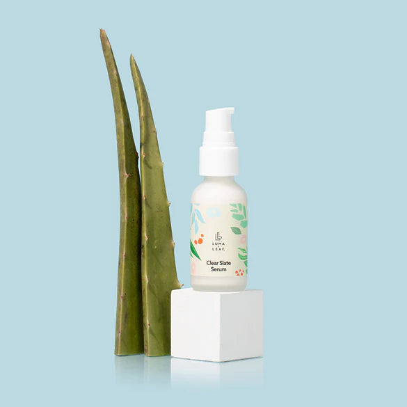 Niacinamide + Bakuchiol + Aloe Clearing Serum for Acne & Blemish Control - Brightening Face Serum for Clear Skin - Perfect for Daily Skincare Routine & Nighttime Use