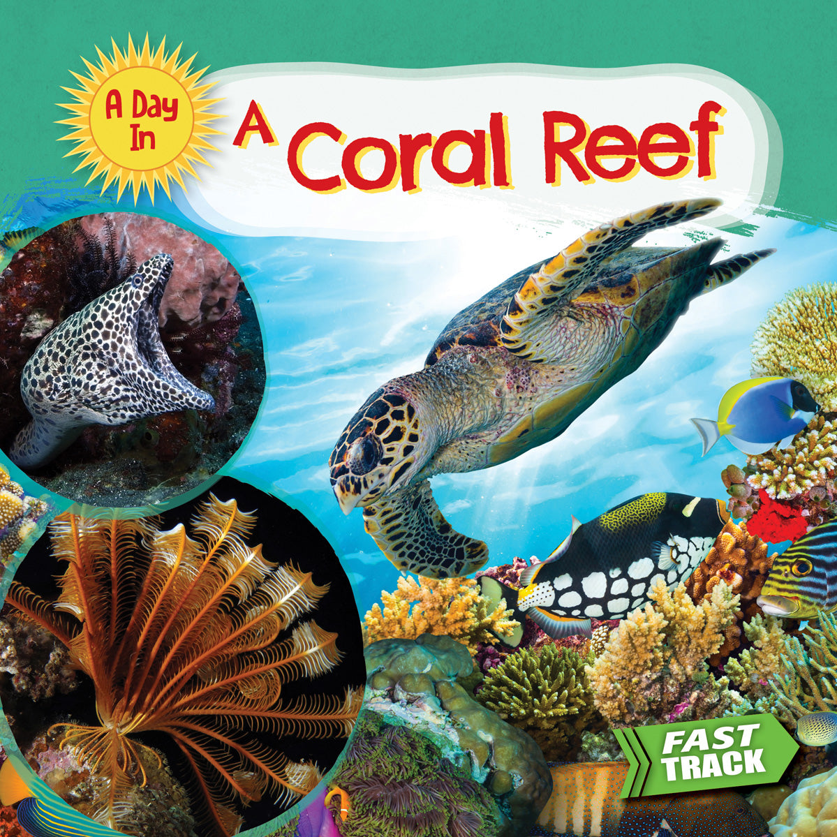 Coral Reef Wall Art - Stunning Ocean Themed Canvas Print for Home & Office Decor | Perfect for Living Room, Bedroom, or Beach House