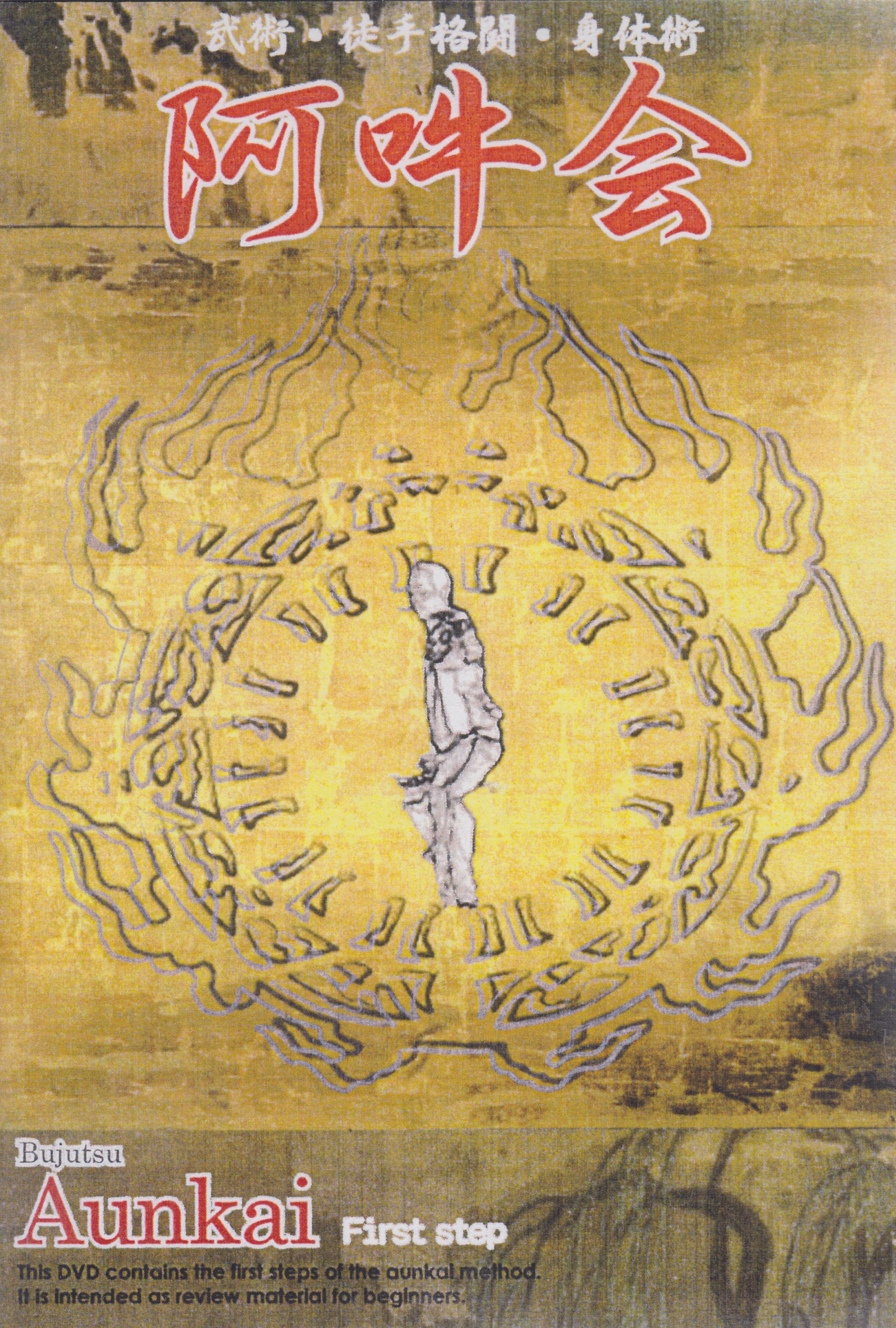 Preowned Aunkai 3 DVD Set by Minoru Akuzawa - Authentic Japanese Martial Arts Training Videos for Self-Defense & Fitness Practice at Home