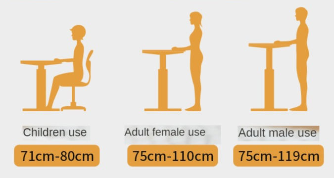 Ergonomic Beech Solid Wood Smart Electric Height Adjustable Standing Desk - Perfect for Home Office, Gaming & Workspace Productivity
