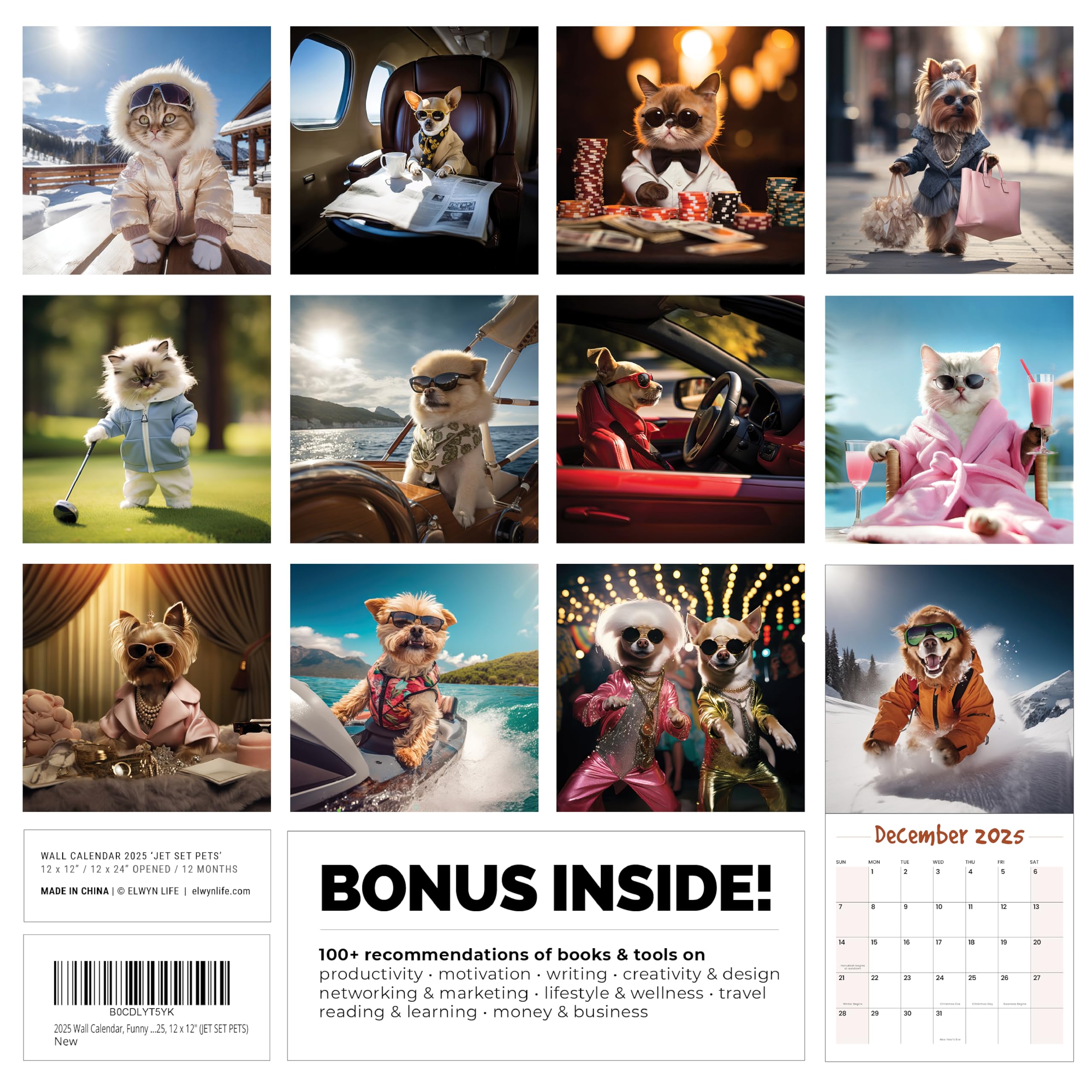 2025 Funny Dog & Cat Wall Calendar - 12 Month Large Planner for Office, Home & School | 12