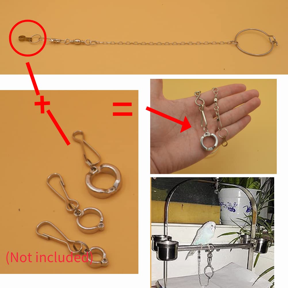 Stainless Steel Parrot Foot Ring & Anklet Chain - Adjustable Bird Leash for Cockatiels, Sun Conures & Pet Birds - Safe & Durable Bird Stand Accessory for Training, Playtime & Outdoor Activities