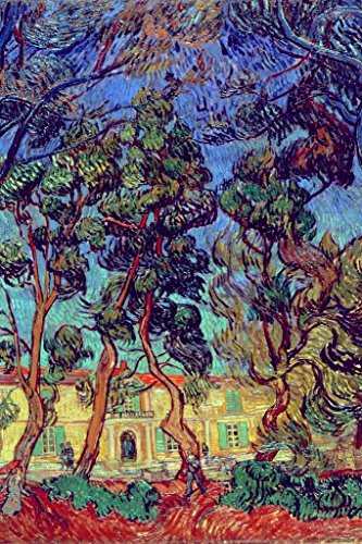 Trees in The Garden of SaintPaul | 10678