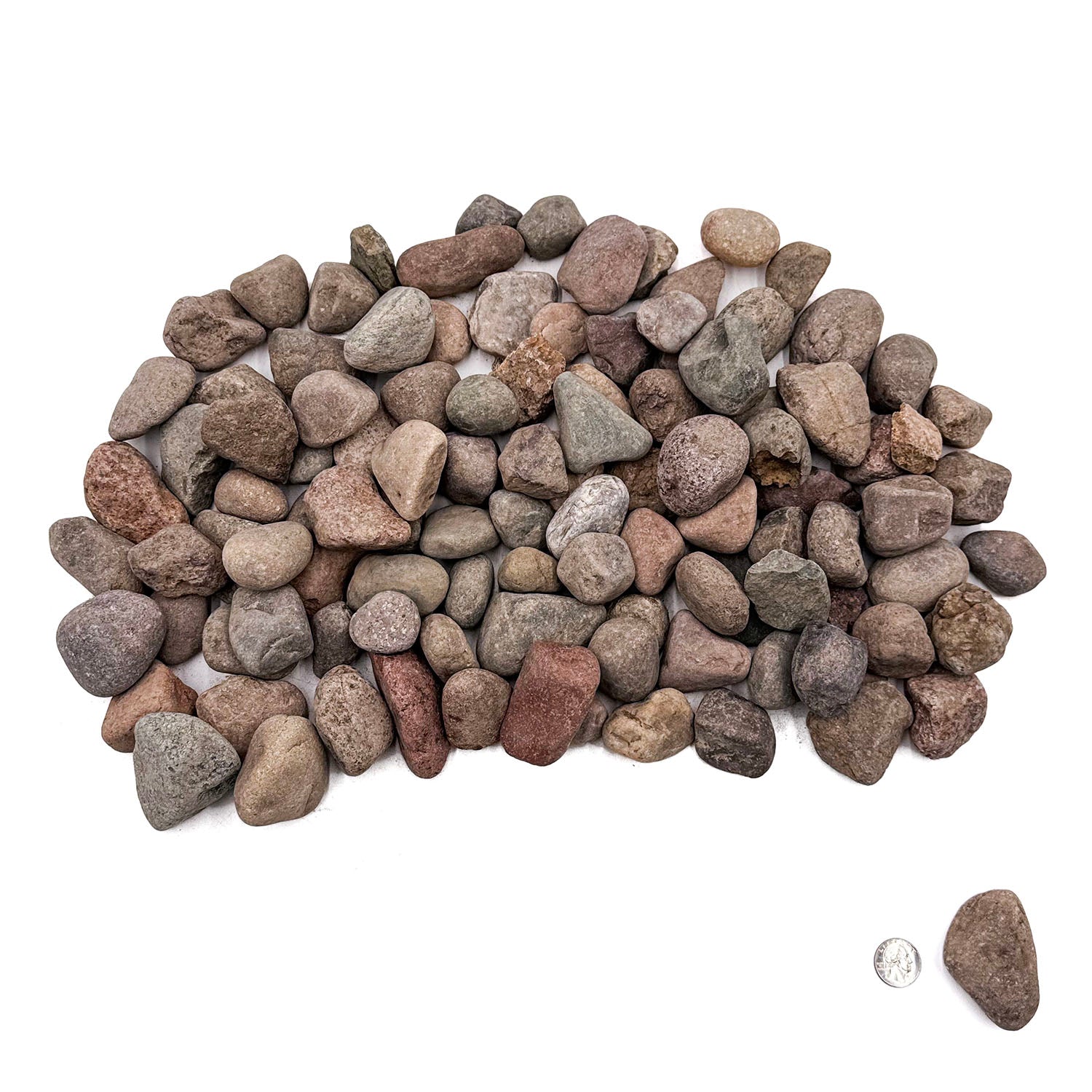 SR Aquaristik Natural River Pebbles 1-5cm, 22 lbs Box - Decorative Stones for Aquariums, Landscaping, Garden & Home Decor