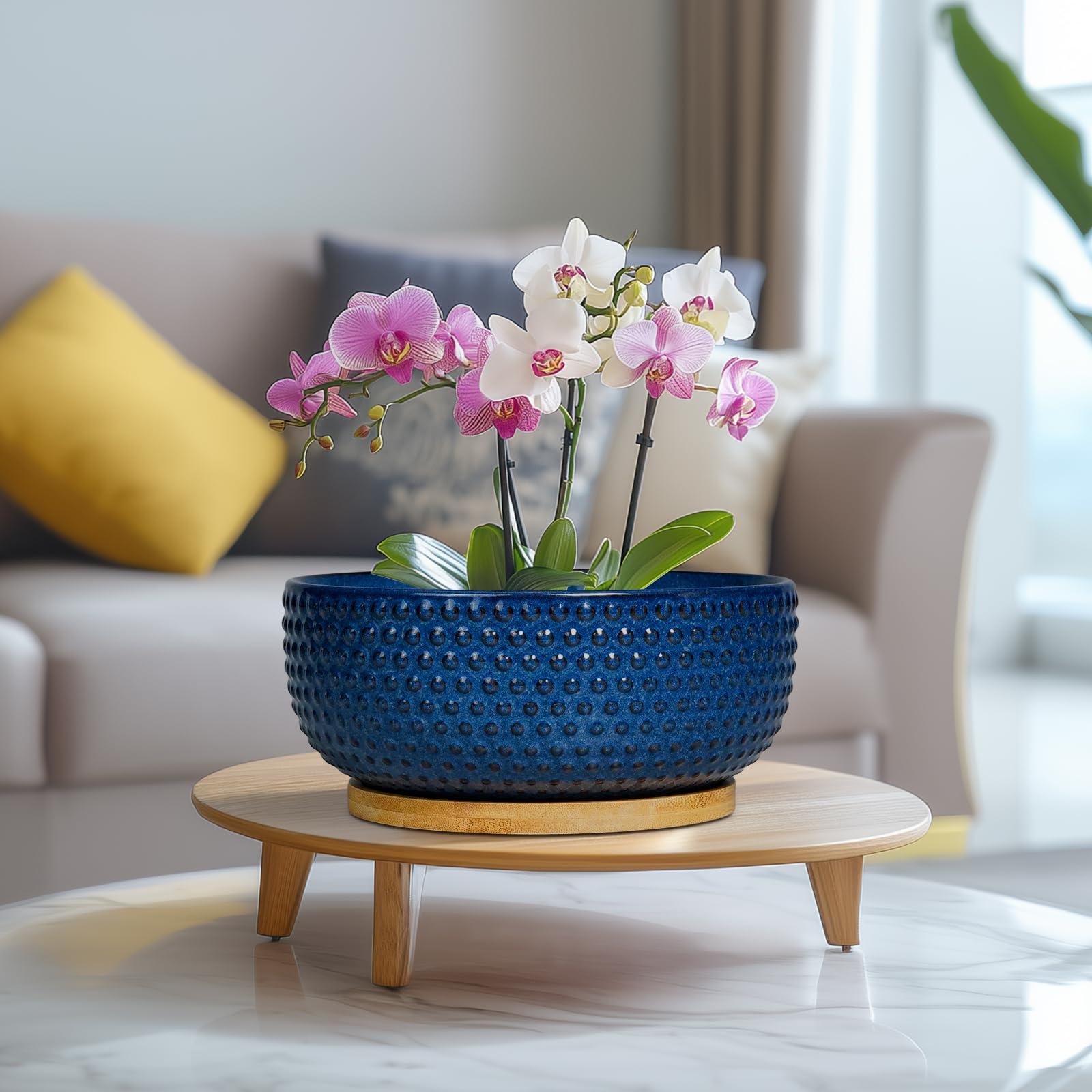 8 Inch Ceramic Bonsai Pots with Drainage Hole & Saucer - Modern Round Planter for Succulent Plants, Bonsai Trees, Indoor House Decor - Perfect Gift for Women & Men (Blue) - Ideal for Home, Office, and Garden Decorations