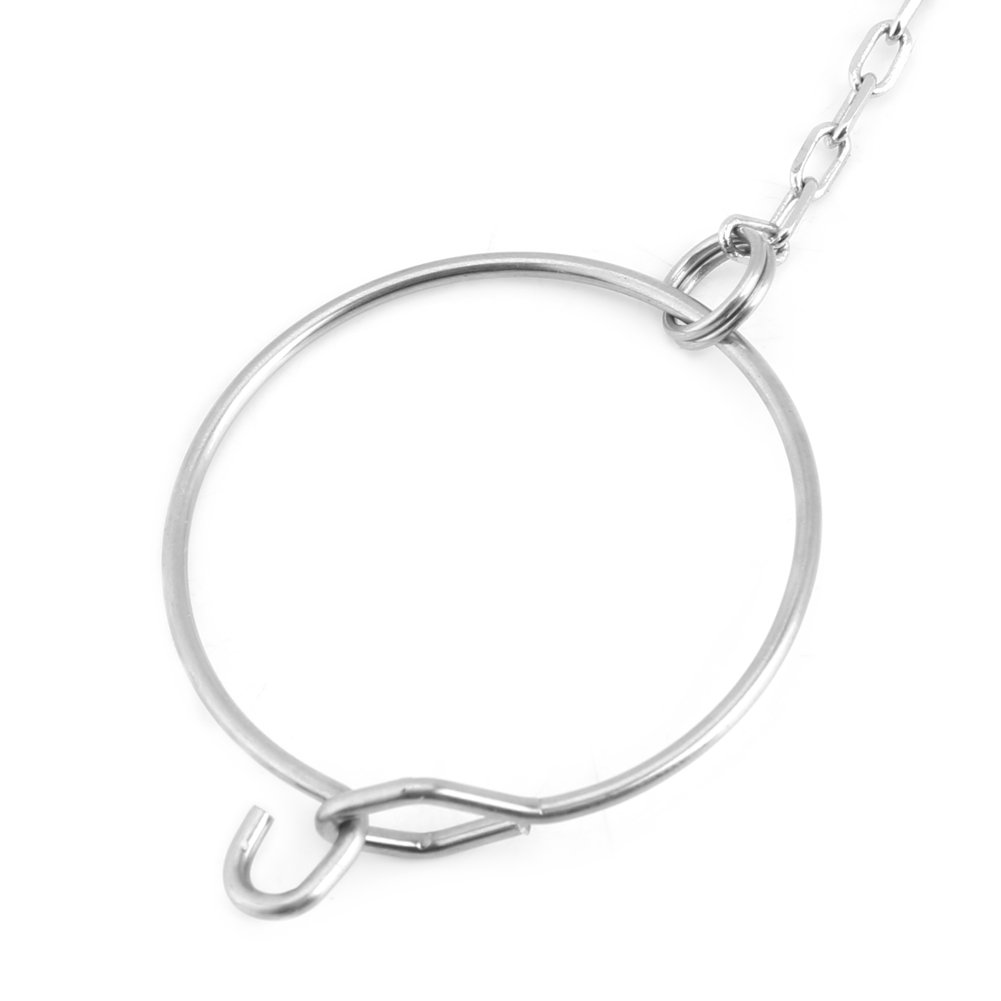 Fdit Stainless Steel Anklet & Ring Toy Set for Pet Parrots - 5.5mm Silver Foot Chain Accessories - Perfect for Training, Playtime & Bird Enrichment Activities