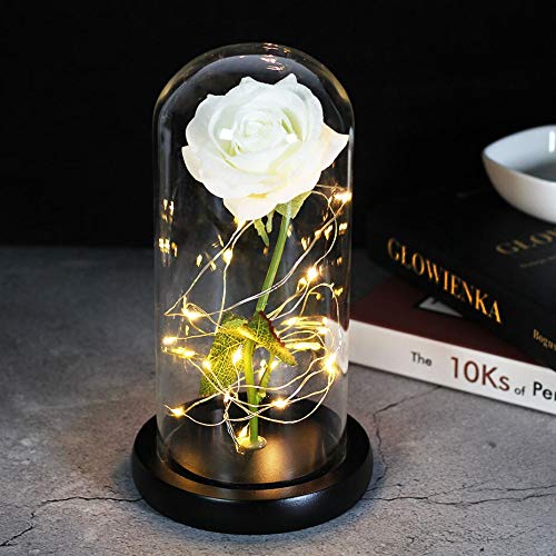 Gold LED Rose Lamp in Glass Dome on Wooden Base - Artificial & Dried Multicolor Red Roses for Valentine's Day, Christmas Gifts - Perfect for Home Decor, Romantic Proposals & Holiday Centerpieces