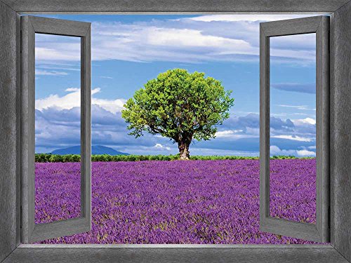 Field of Purple-1