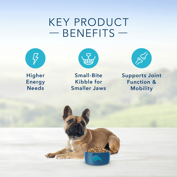 BLUE Life Protection Formula Small Breed Beef & Brown Rice Recipe Dry Dog Food, 15lb - Premium Nutrition for Toy & Miniature Dogs - Perfect for Daily Meals & Training Treats
