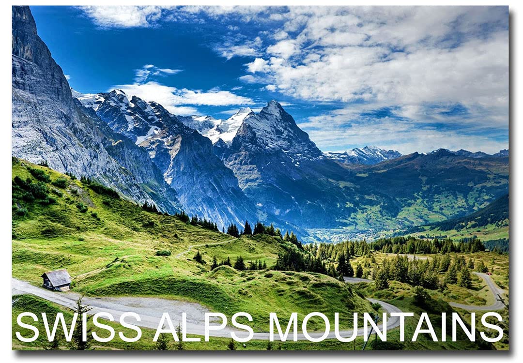 Swiss Alps Mountain Souvenir Fridge Magnet 2.5 x 3.5 Inches - Perfect Travel Memory for Refrigerators, Whiteboards & Metal Surfaces