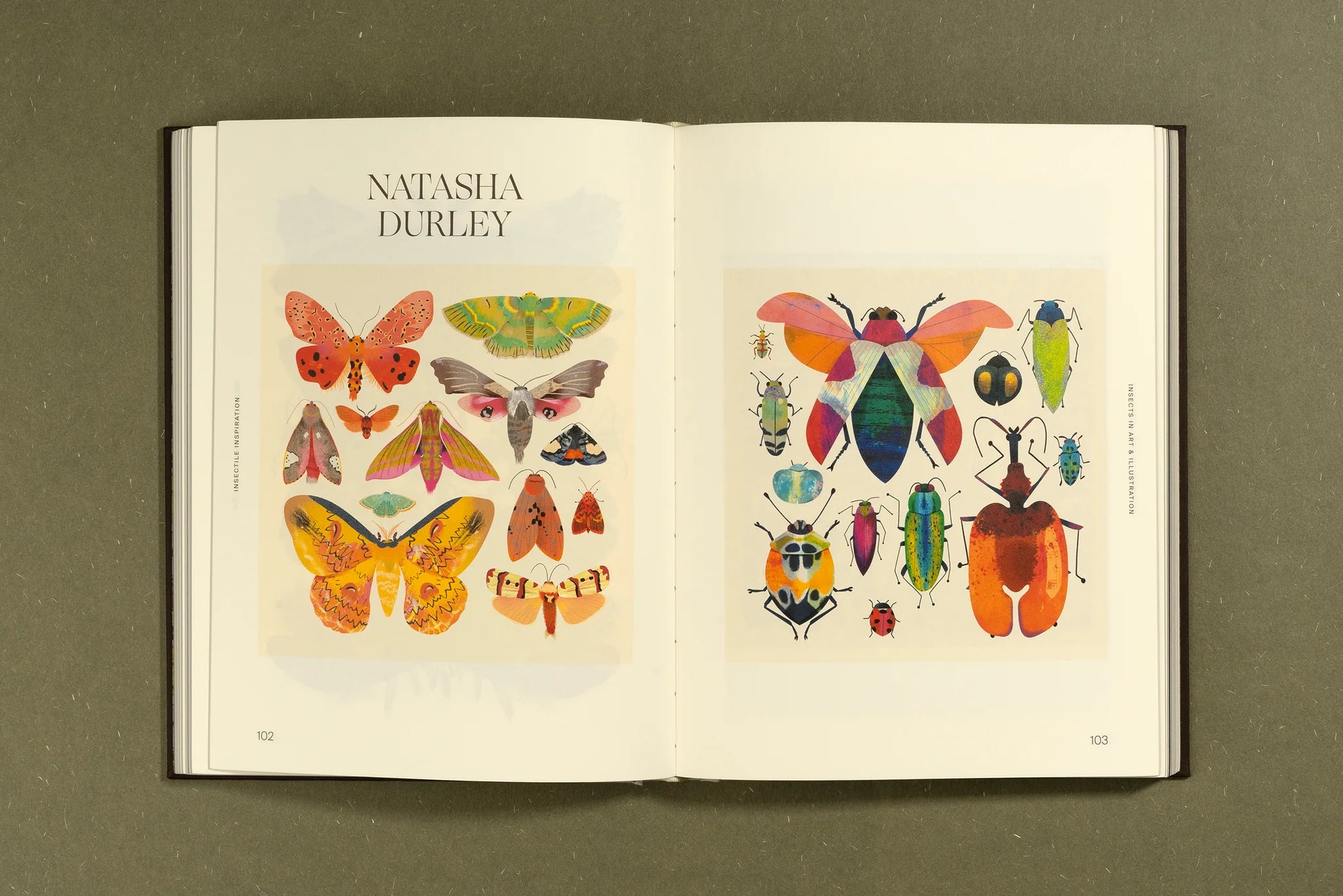 Insectile Inspiration: Insects in Art and Illustration - Unique Wall Decor for Nature Lovers & Home Office Aesthetics