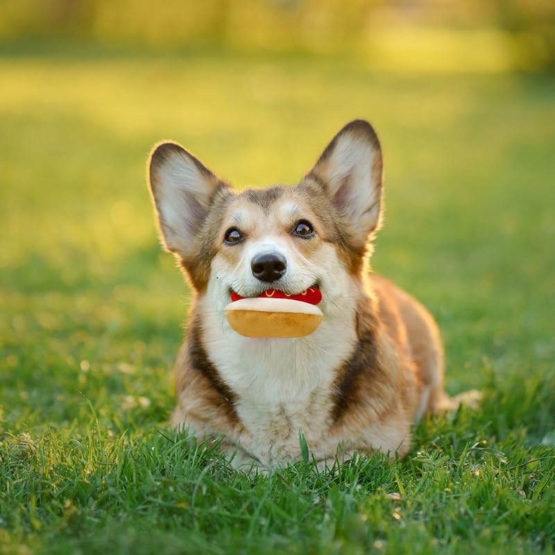 Squeaky Interactive Dog Chew Toys for Large, Medium & Small Dogs - Plush Teething Toys with Fast Food Design (Hot Dog) - Perfect for Playtime, Training & Keeping Pets Busy