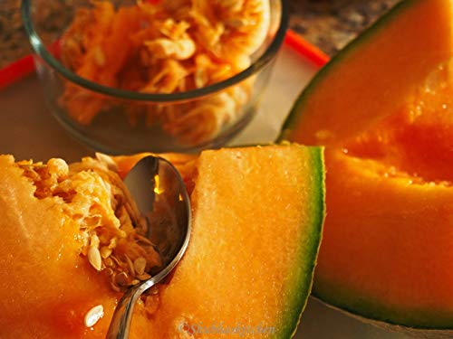 Organic Dried Muskmelon Seeds (Cantaloupe Seeds/Kharbooze Beej) - 100g | Premium Kharbooze Magaz for Snacking, Cooking & Ayurvedic Recipes | Healthy & Nutritious Natural Food