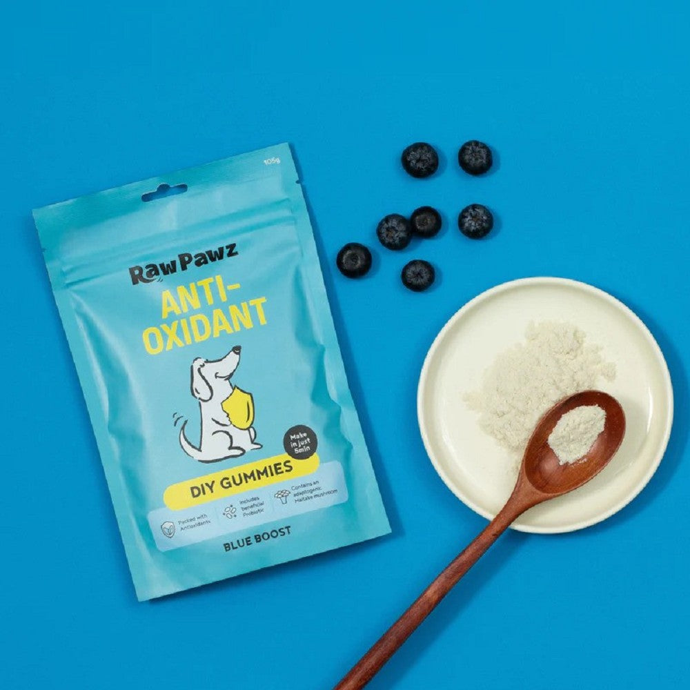 Blue Boost Antioxidant Dog Treats - Homemade DIY Gummies for Joint Health & Immune Support - Perfect for Training Rewards & Senior Dogs