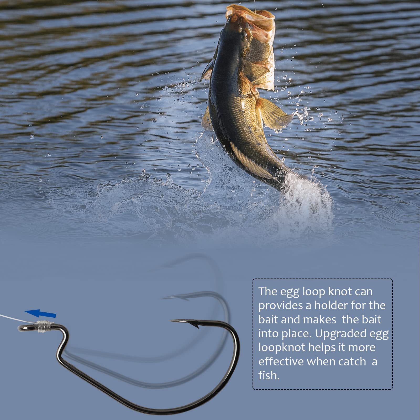 Dovesun 10/5PCS Carolina Rig Kit for Bass Fishing - Pre-Tied Fishing Rigs with Hooks, Swivels, Fluorocarbon Line & Weights - Perfect for Freshwater, Saltwater, Catfish & Bass Fishing Adventures
