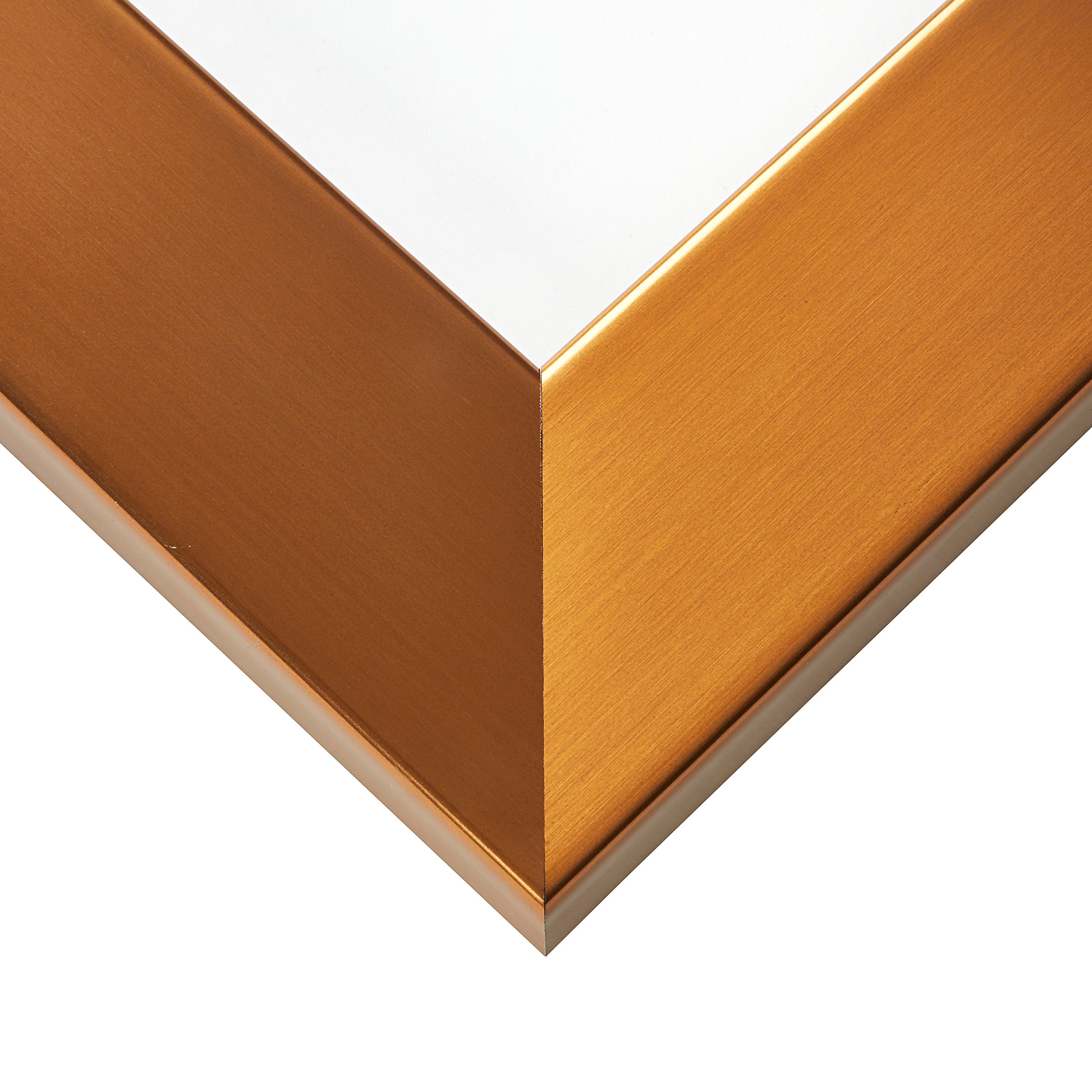 Craig Bauhaus 200 Frame 8.5x11 Inch Stainless Brass - Wall & Tabletop Display