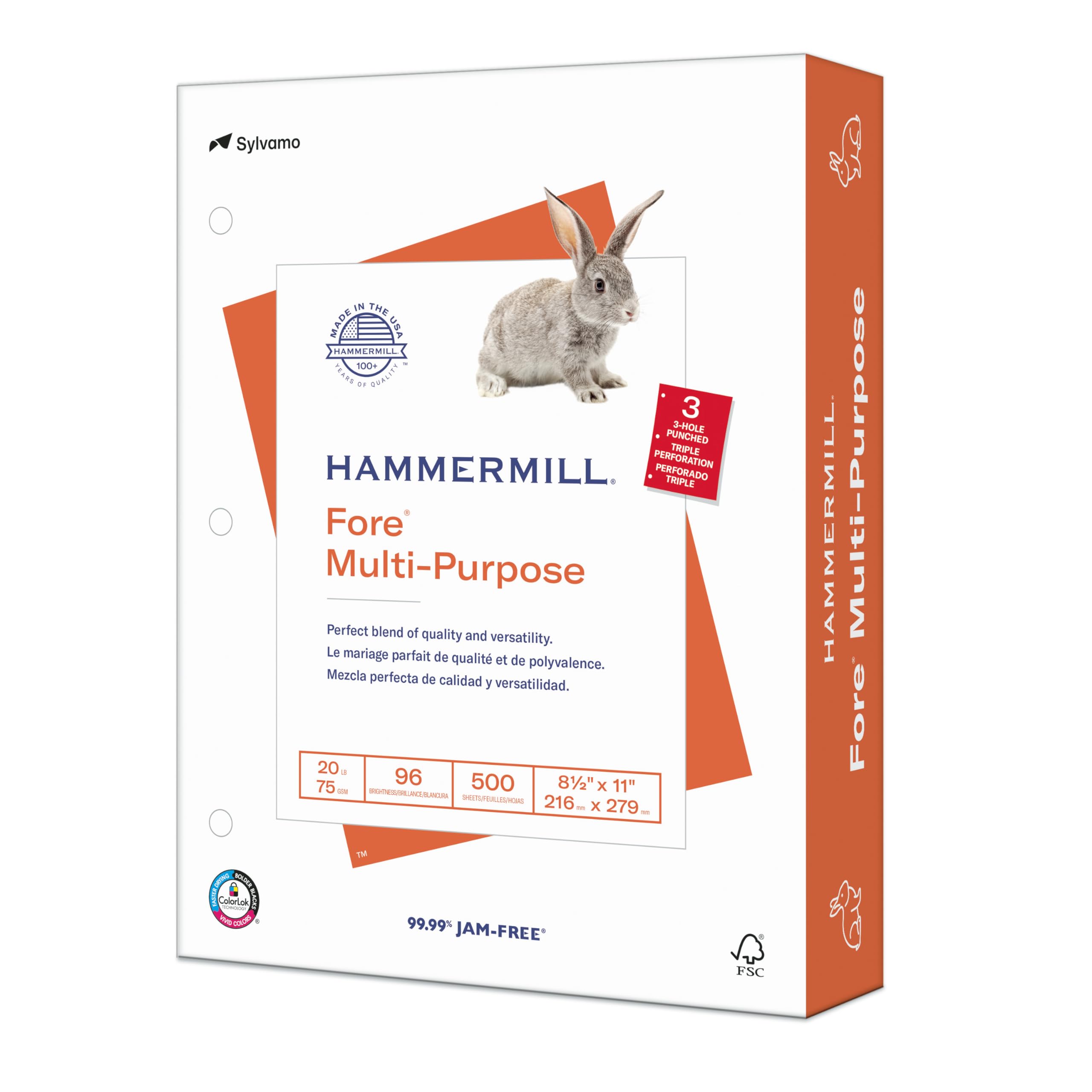 Hammermill Printer Paper, 20 lb Multipurpose Copy Paper, 3-Hole Punched, 1 Ream (500 Sheets), 96 Bright, Made in USA – Ideal for Home, Office, and School Printing Needs