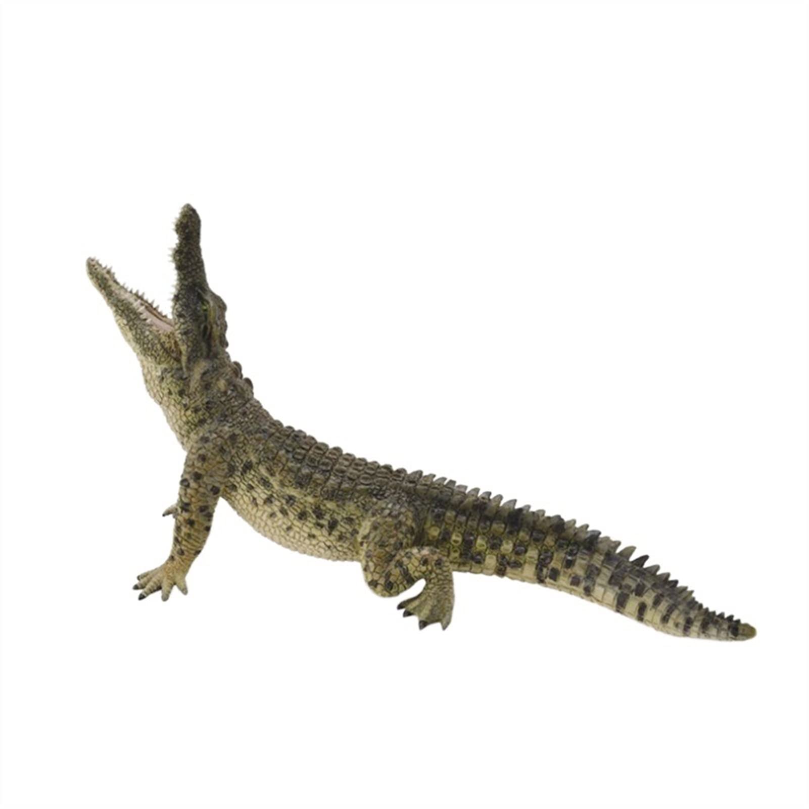 Realistic PVC Rubber Nile Crocodile Animal Figure - Static Simulation Jungle Animal Toy for Home & Office Decoration | Perfect for Themed Parties, Educational Displays, and Collectors