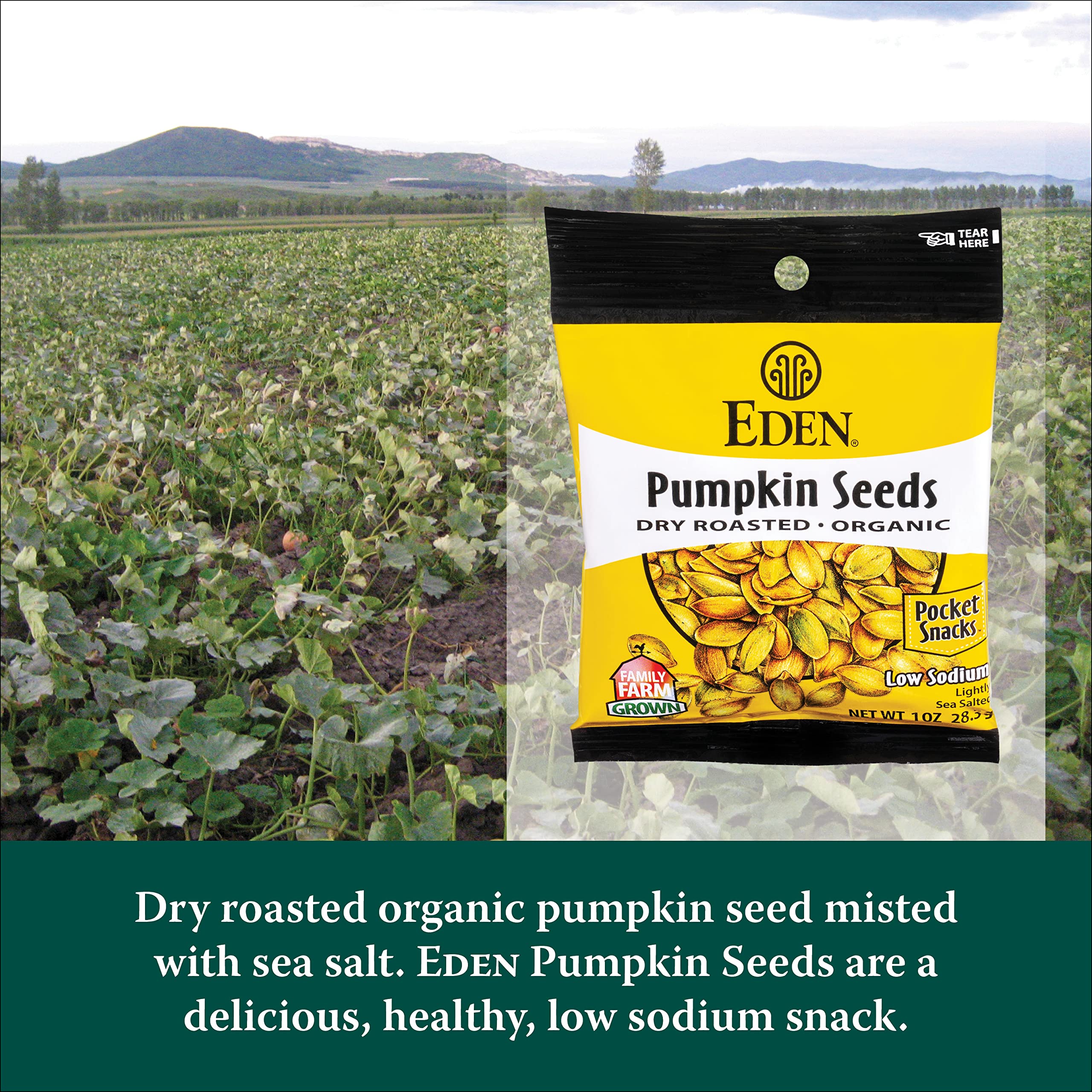 Organic Pumpkin Seeds Snacks - Dry Roasted, Lightly Salted, Hulled Pepitas - 1 oz (24-Pack) - Healthy On-the-Go Snack for Work, Hiking & Road Trips