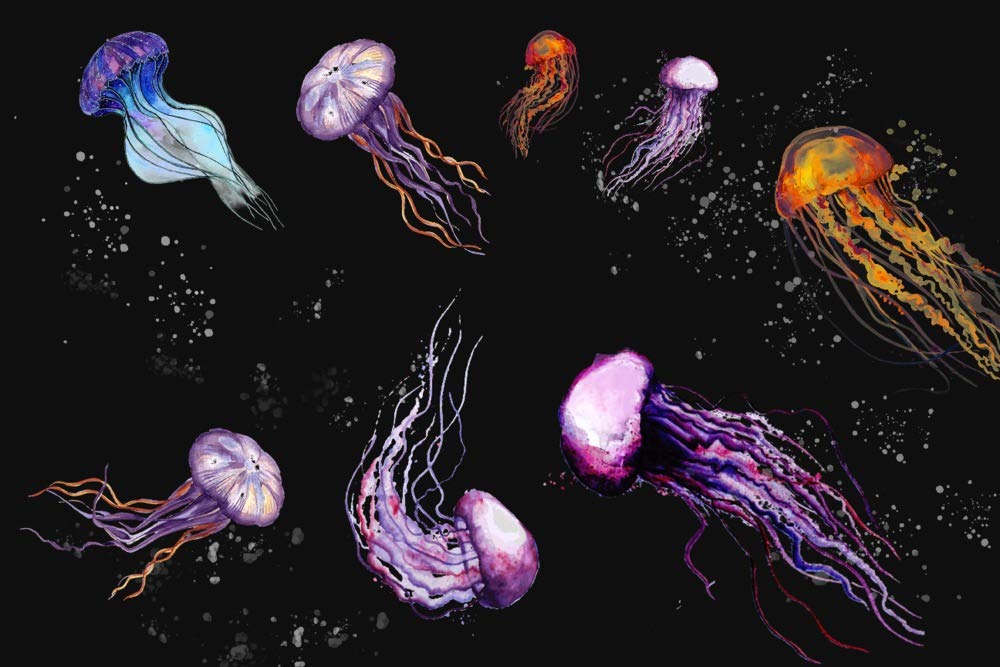 Jellyfish Watercolor Painting on Black - 16x24 Gallery Quality Metal Wall Art, Aluminum Home Decor for Living Room, Bedroom & Office