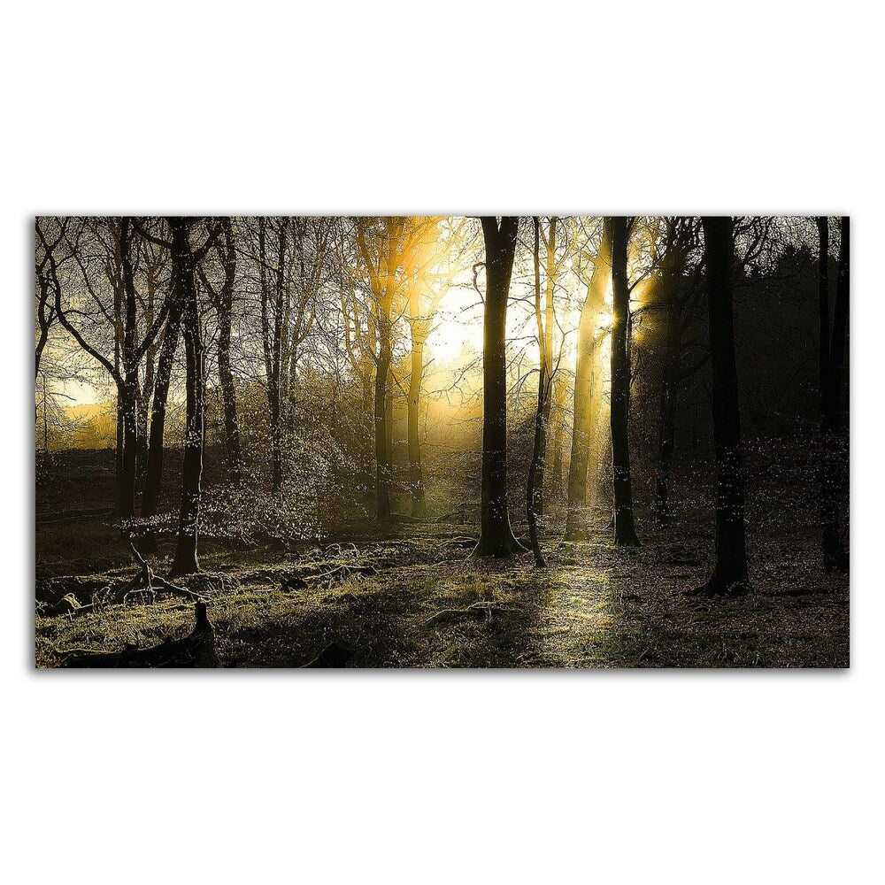 Autumn Lights by Adelino Gonçalves - Premium Canvas Wall Art Print - Ready to Hang - Perfect for Living Room, Bedroom & Office Decor