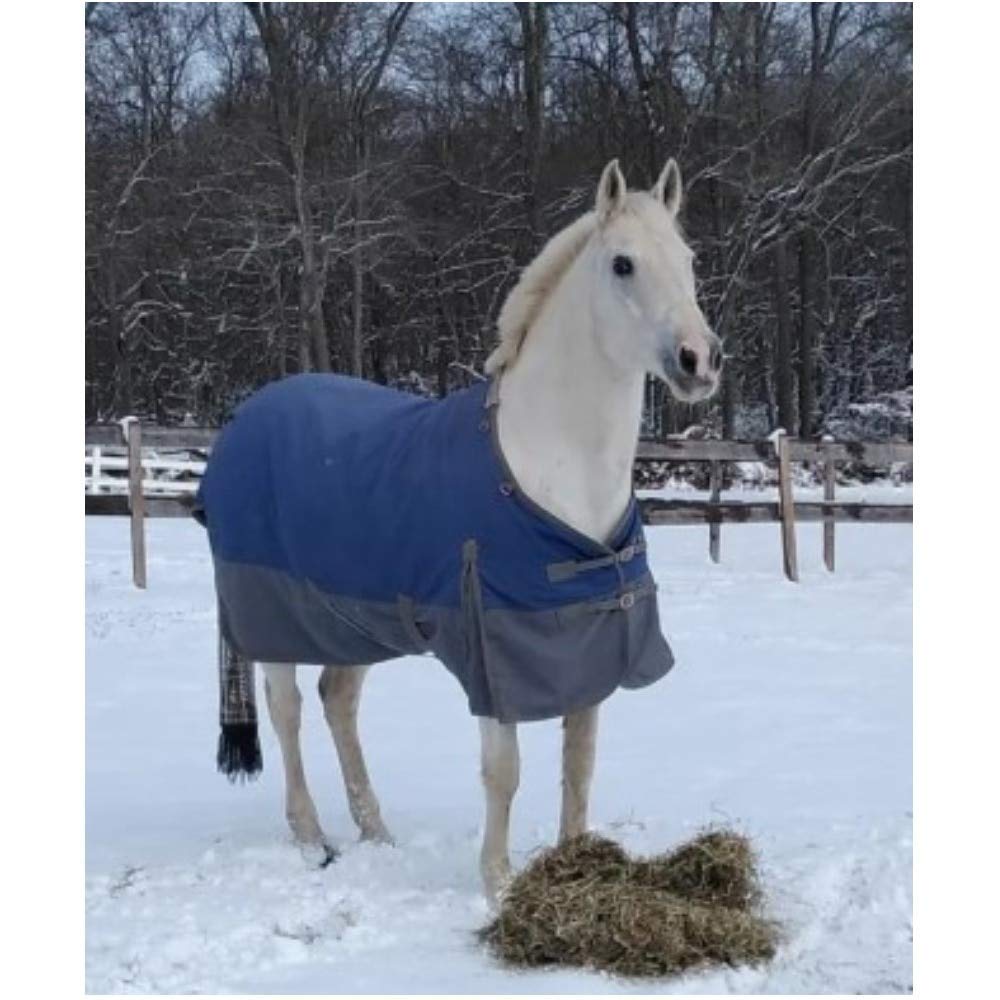 Contour Collar Classic II Horse Turnout Blanket - Waterproof Winter Horse Blanket with Bellyband Closure | Weather Protection for Cold Seasons | Ideal for Stable, Pasture & Riding