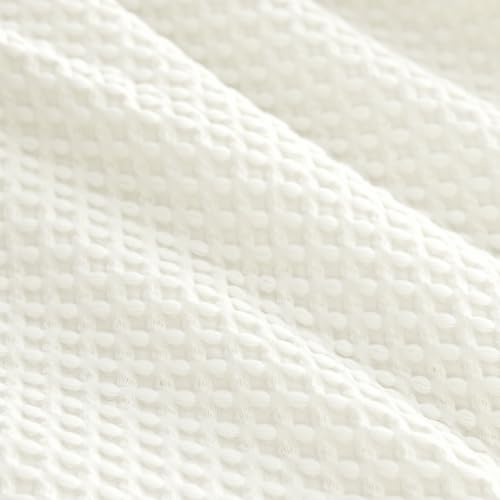 01 - Coconut White