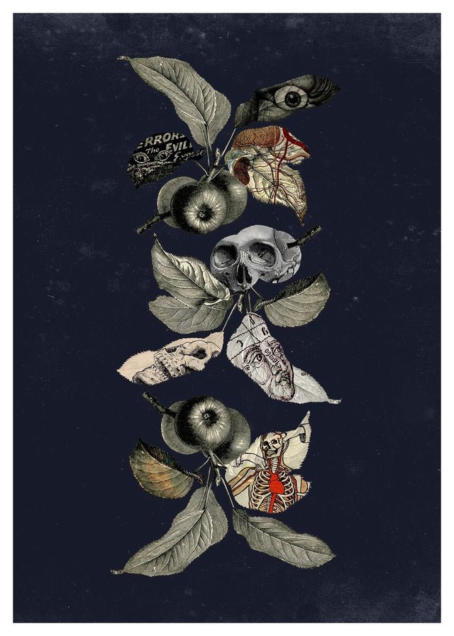 Botanical Skulls Navy Print T-Shirt - Gothic Style Skull Graphic Tee for Men & Women - Perfect for Halloween, Concerts, and Casual Wear
