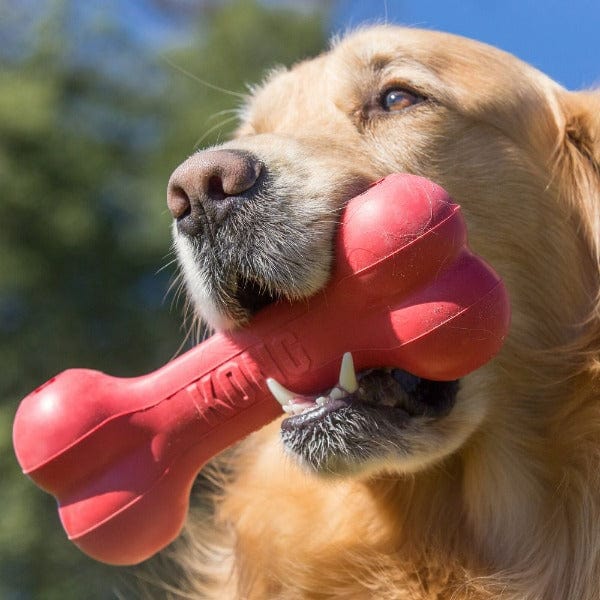KONG Goodie Bone Dog Toy - Durable Chew Toy for Small & Medium Dogs - Interactive Treat Dispenser for Training & Playtime - Perfect for Indoor & Outdoor Use