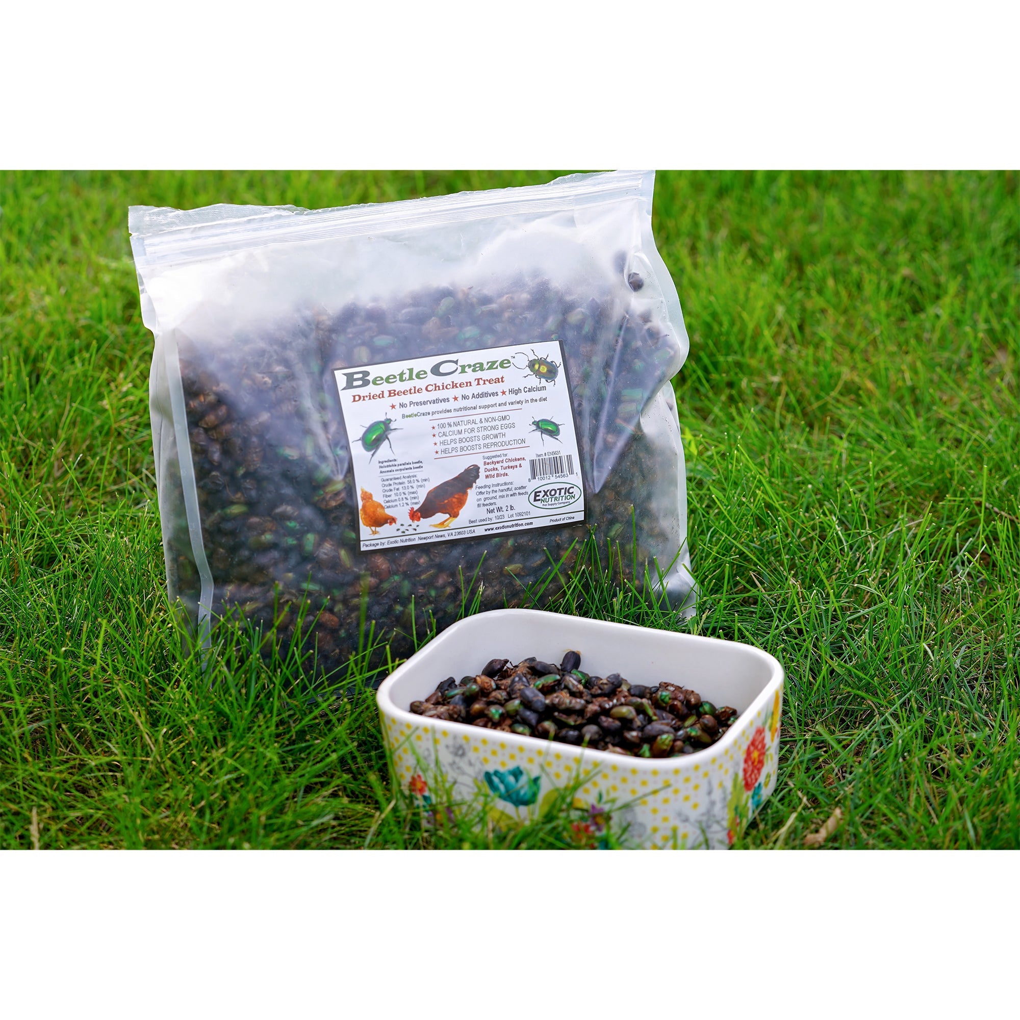 Beetle Craze 2 lb Natural Dried Mealworms - High Protein Reptile & Bird Food for Bearded Dragons, Chickens, Wild Birds - Perfect for Feeding Pets & Wildlife