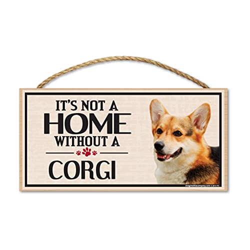 Corgi