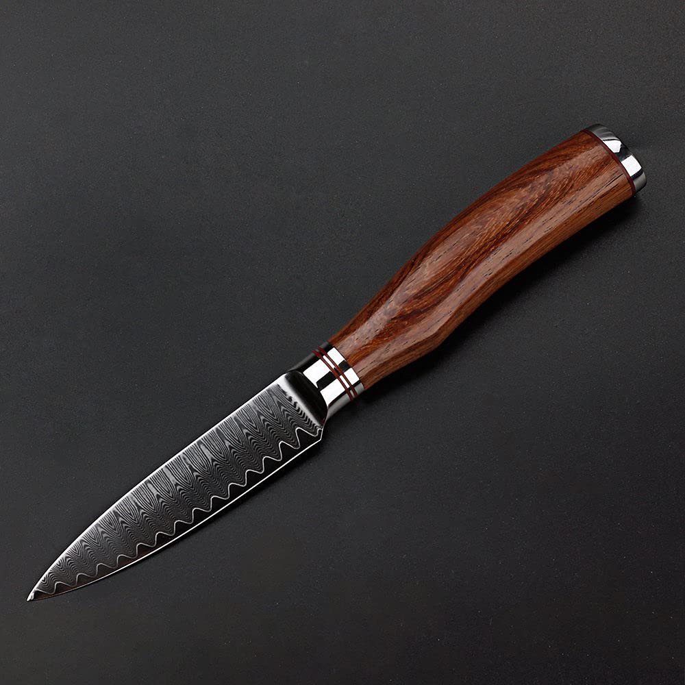 Premium 3.5 Inch Damascus Steel Paring Knife - Japanese Hammered Fruit & Vegetable Knife with Natural Bloodwood Handle - Perfect for Kitchen, Camping & Gift Giving