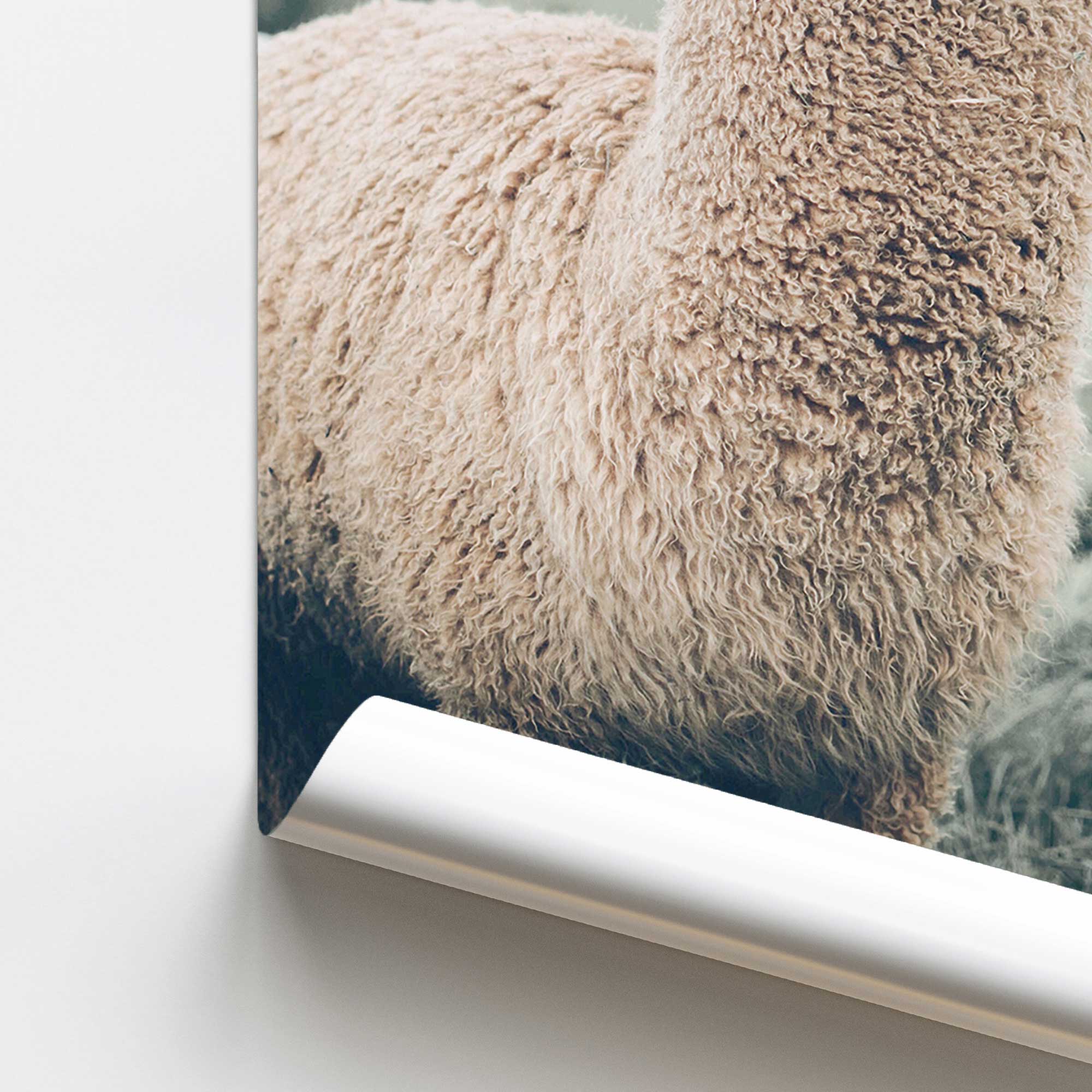 Alpaca Charm Print - Cute Alpaca Pattern Design for T-Shirts, Tote Bags & Home Decor | Perfect for Animal Lovers, Gifts & Boho Style Fashion