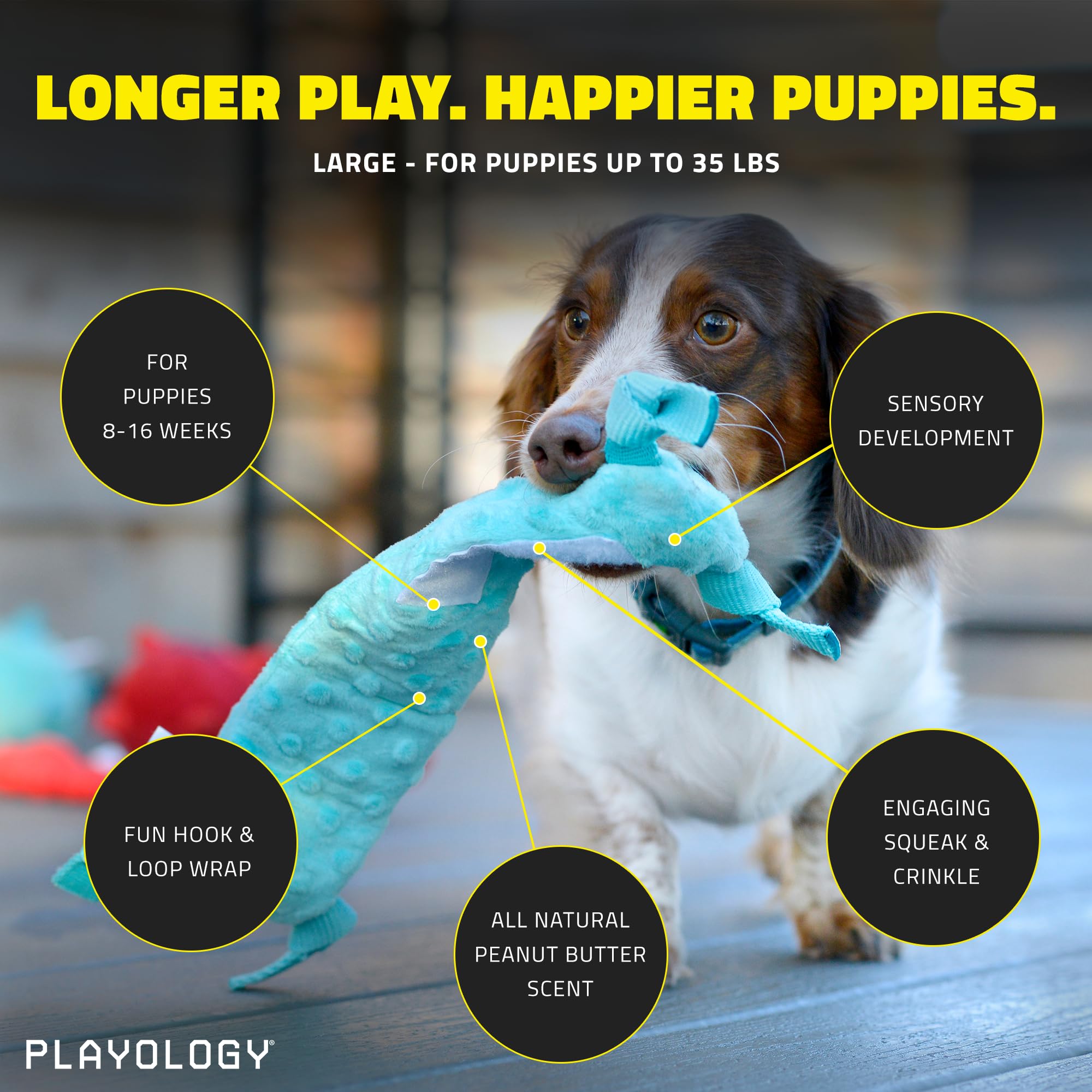 Playology Puppy Sensory Snail Peanut Butter Dog Toy for Small Dogs - Interactive Chew Toy for Puppy Training & Teething Relief - Perfect for Indoor Play & Outdoor Adventures