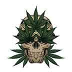 Marijuana Skull