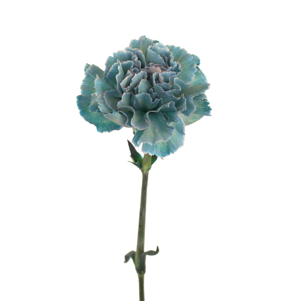 Pastel Blue Carnation Flowers - Artificial Silk Floral Arrangement for Home Decor, Wedding Centerpieces, and DIY Crafts