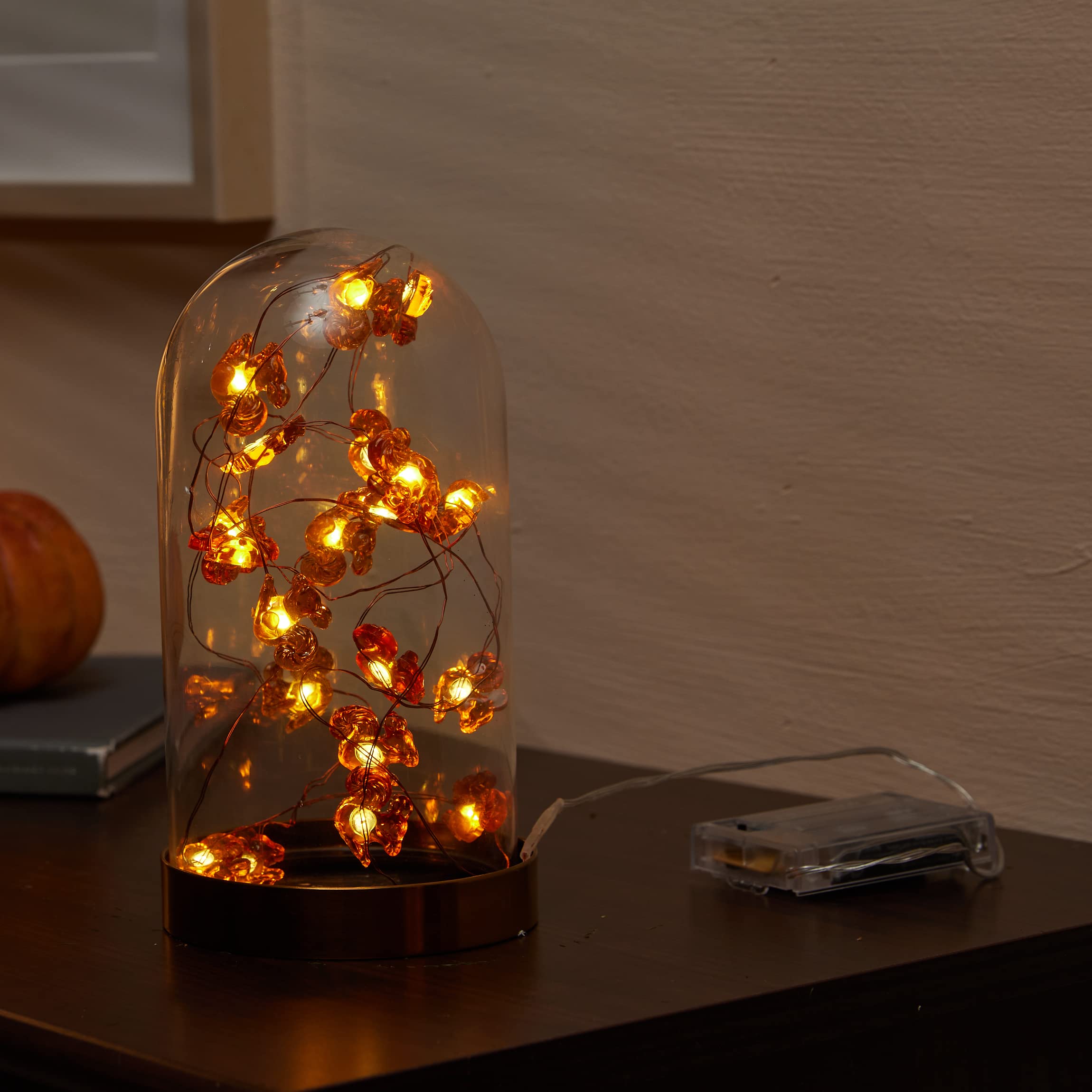 FURORA Squirrel LED Fairy Lights with 6/18H Timer - 20 Warm White LED String Lights, 90-Inch Battery Operated Indoor Fairy Lights for Bedroom, Nursery, Wedding, Party & Home Decor