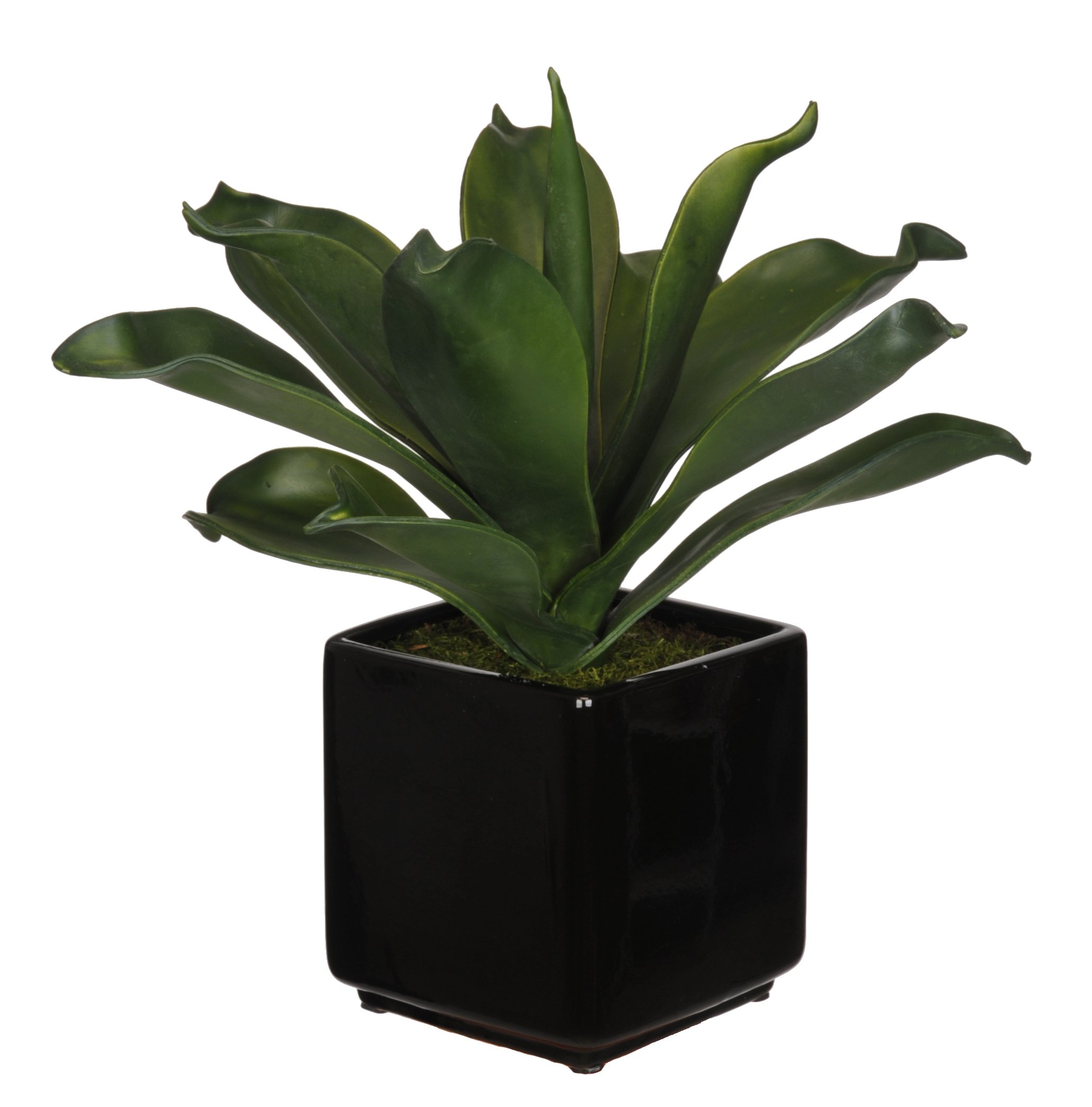 Artificial Agave Succulent Plant in Black Ceramic Cube - Low Maintenance Silk Flower Arrangement for Home Office Desk Decor, Wedding Centerpiece & Modern Interior Design