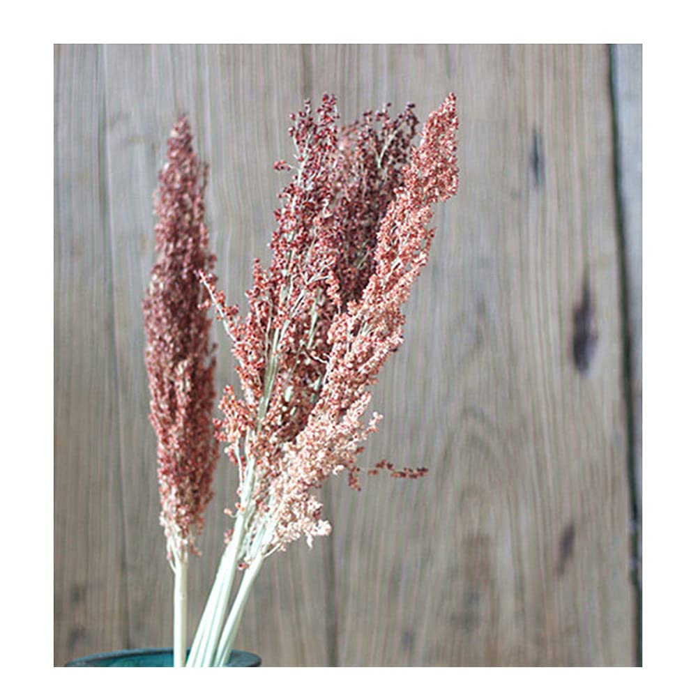 20 Bouquets Natural Sorghum Wheat Ears & Dried Flowers - Rustic Home Decor for Living Room, Wedding Centerpieces, Photography Props | Farmhouse Style Decoration for Boho Weddings, Fall Home Decor & Photo Shoot Backgrounds