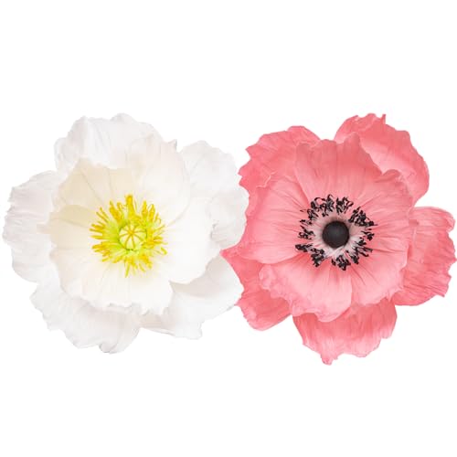 Pink+white;set/2