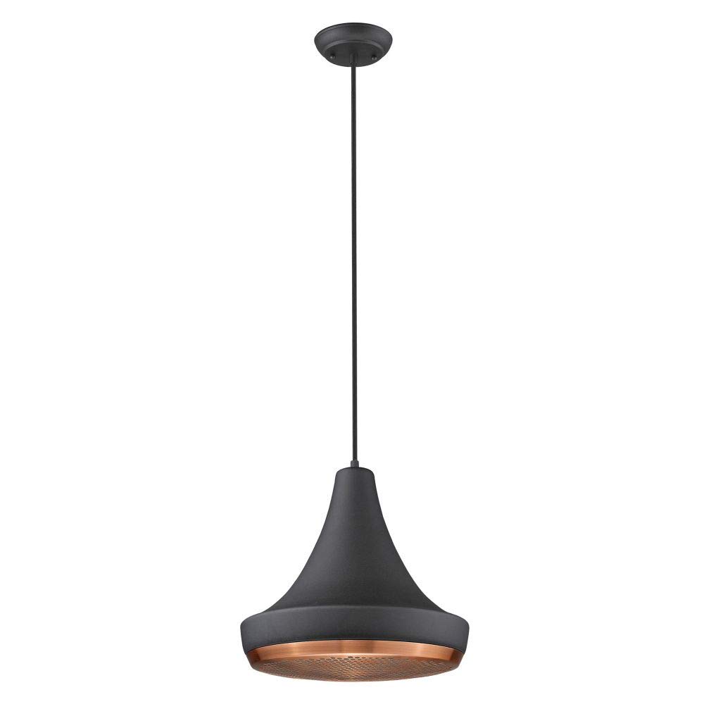 Acclaim TP30121BK Modern Black Ceiling Light Fixture - Perfect for Living Room, Bedroom & Dining Room Lighting