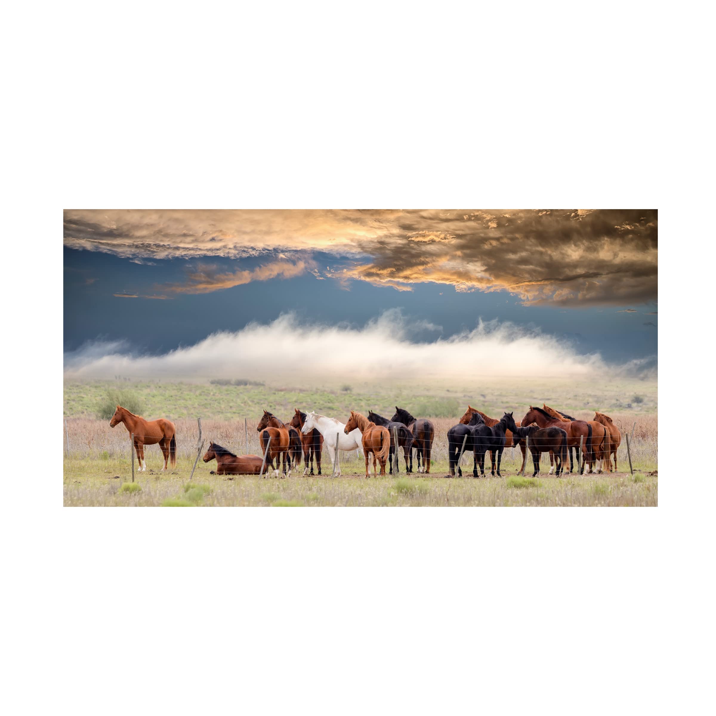 Trademark Fine Art 'Horses' Canvas Wall Art by Chechi Peinado - Elegant Equestrian Painting for Living Room, Bedroom & Office Decor