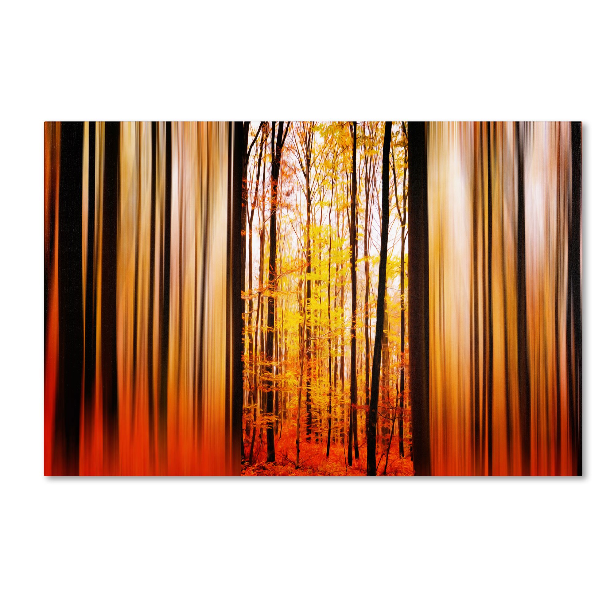 Trademark Fine Art Excited Oxygen Wall Art by Philippe Sainte-Laudy - 12x19 Inch Modern Abstract Painting for Living Room, Bedroom & Office Decor