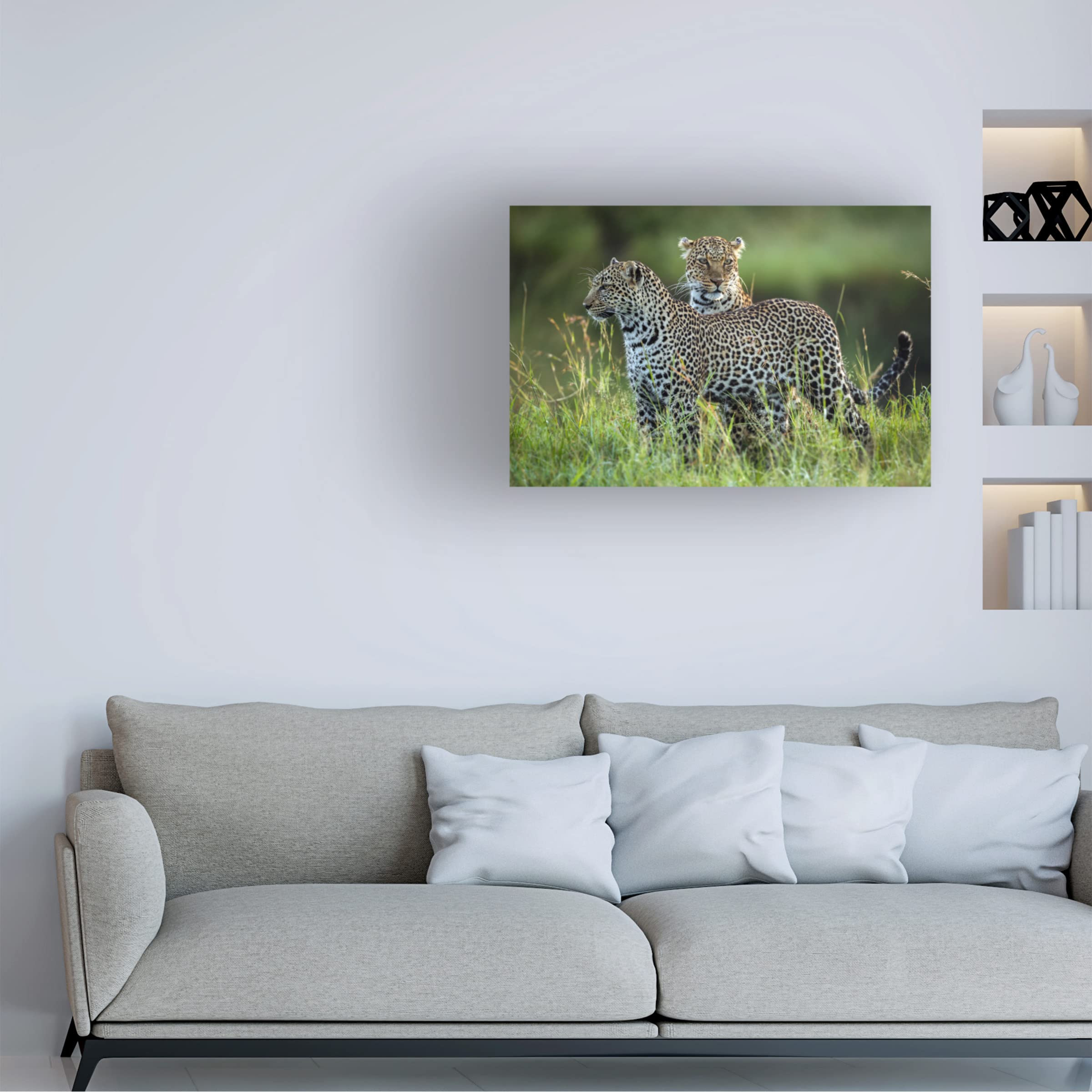 Trademark Fine Art 'Leopard Family' Canvas Wall Art Print by Roshkumar - Perfect for Living Room, Bedroom & Office Decor